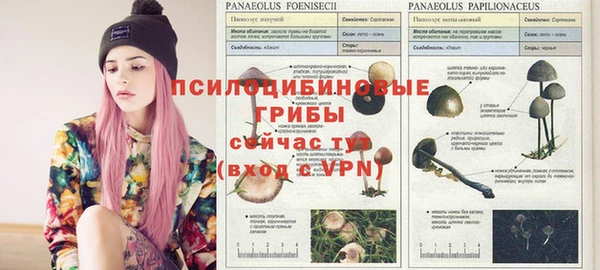 первитин Абаза