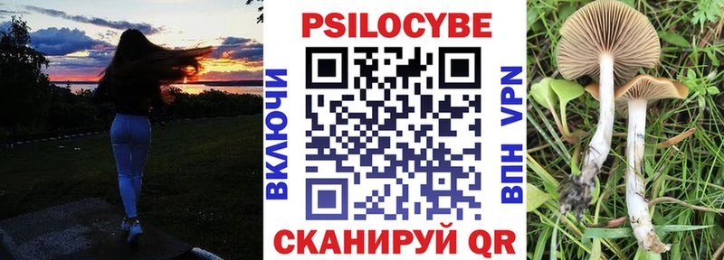 Галлюциногенные грибы Psilocybine cubensis что такое наркотик Западная Двина