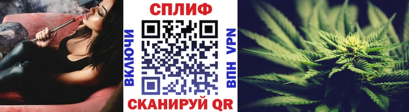 блэк спрут ссылки Западная Двина Каннабис Amnesia